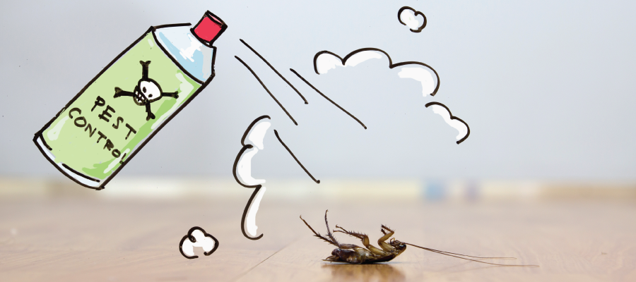 How To Get Rid Of Pests Once And For All