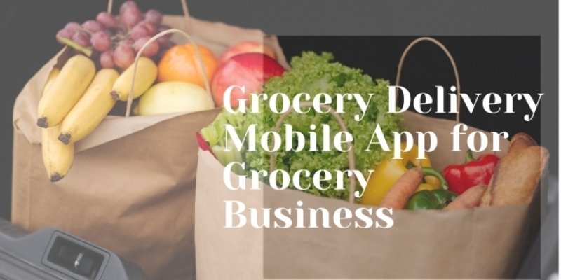 Benefits of Grocery Delivery App Development for Business