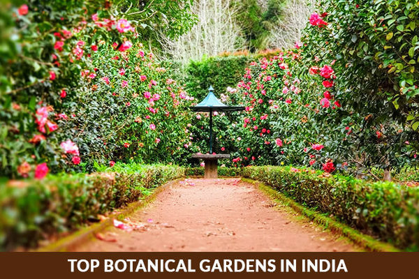 Top Botanical Gardens in India